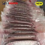 Bosch 901018 (901064, 901051) New Variator Pushbelt for ZF CFT25 VT1 CFT27 VT2 VT3 K310 JF012E RE0F21A